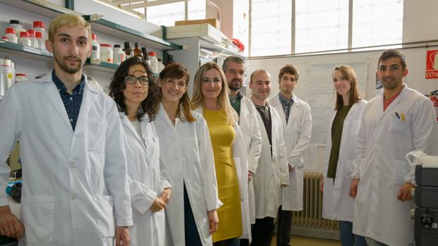 Grupo de investigación de la Usal bajo la dirección de la catedrática Eva Martín del Valle