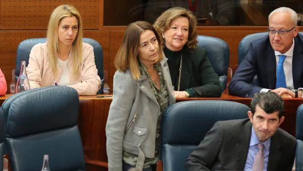 Elena González-Moñux (de pie), en su escaño de la Asamblea de Madrid hoy