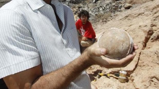 Uno de los fósiles de aves encontrados en Lanzarote