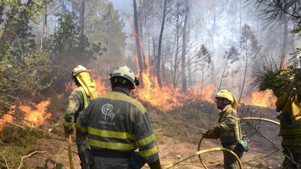 Brigadistas trabajan en la extinción del incendio en Lobios