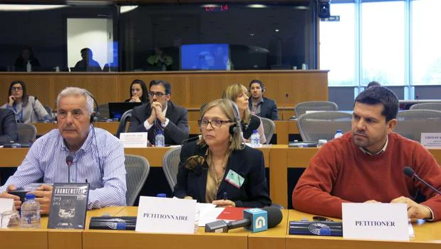 Representantes de las víctimas del Alvia, durante una comparecencia en el Parlamento Europeo en enero