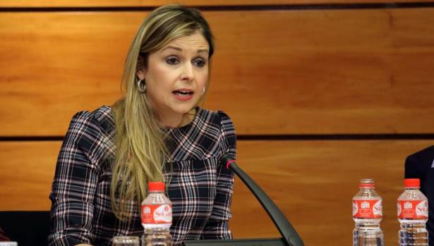 Elena de la Cruz fue consejera de Fomento de Castilla-La Mancha desde 2015 y hasta su muerte, el 4 de abril de 2017