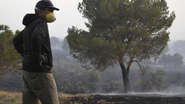 Uno de los profesionales del operativo de extinción de incendios en el pinar de Nieva (Segovia)
