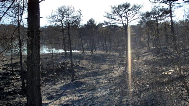 Imagen de archivo de un incendio en la provincia de Cuenca