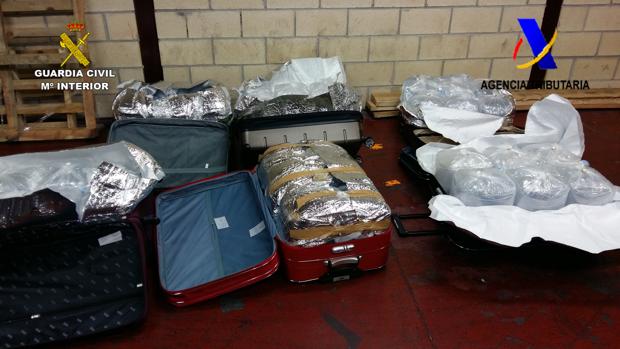 Incautan 40 kilos de angulas vivas en el aeropuerto de Bilbao