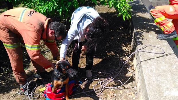 Bomberos rescatan a un perro atrapado en una antigua estación de bombeo