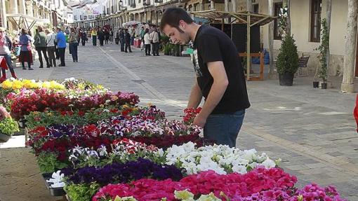 Uno de los puestos del Mercado Regional de la Flor