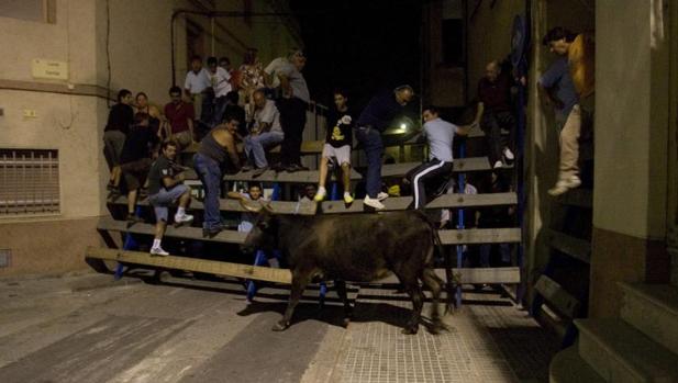 La Mesa del Parlamento de Cataluña admite a trámite una ILP para prohibir los «correbous»