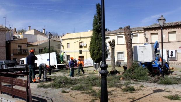 Tala de árboles en el solar de Antequeruela