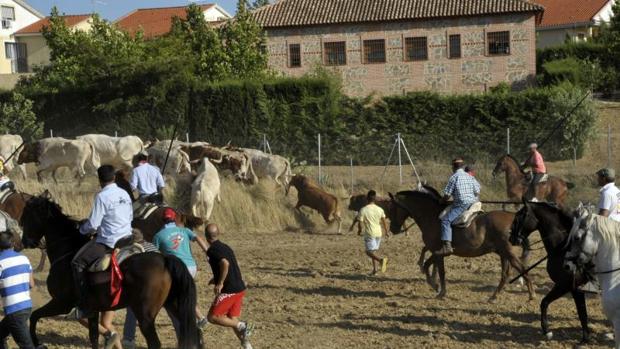 El PP cree que, «sin mermar la seguridad», hay «costes añadidos innecesarios»