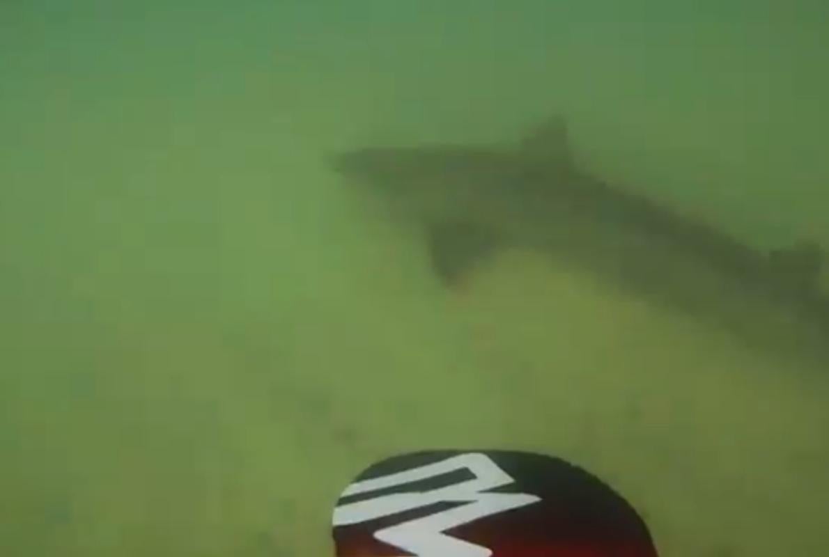 Youtube: el cordial saludo de los tiburones cuando haces «paddle surf» en Canarias