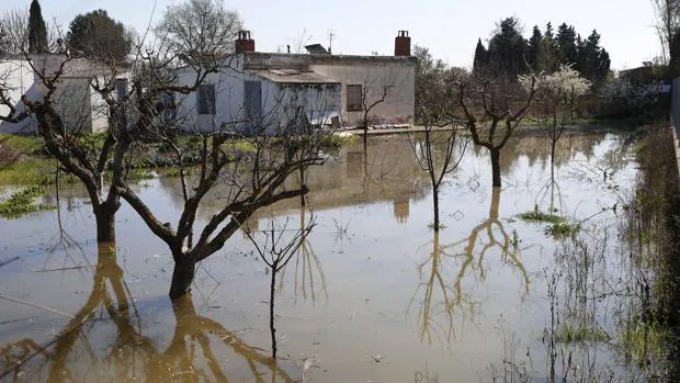 El Estado, condenado por no dragar el Ebro para evitar inundaciones