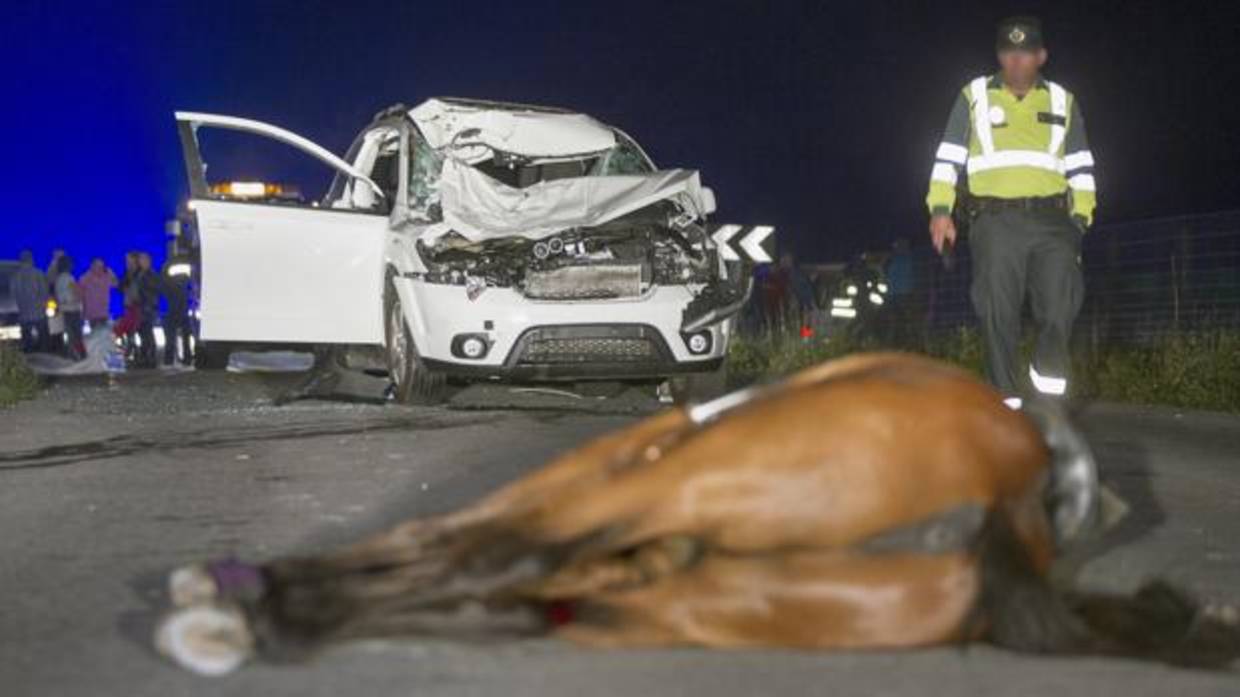 Muere atropellada cuando montaba a caballo por una carretera a medianoche en Lugo