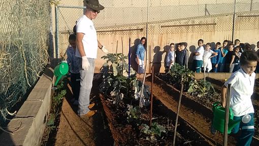 Diez colegios públicos de Canarias que triunfan en calidad