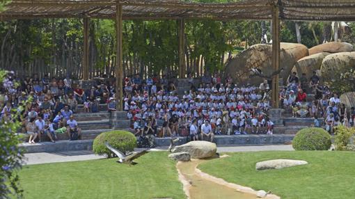 Día del Medio Ambiente: Bioparc Valencia llama a la preservación de los limpiadores del planeta