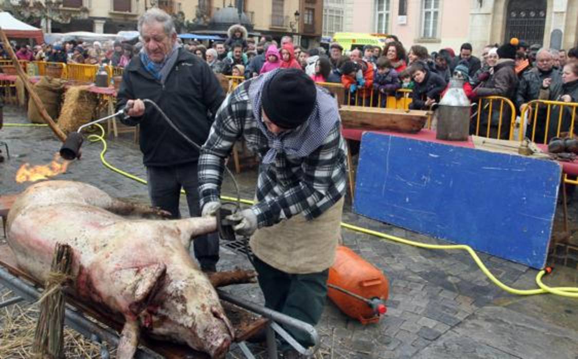 Multado con 18.000 euros un pueblo de Palencia por realizar matanzas porcinas como «espectáculo público»