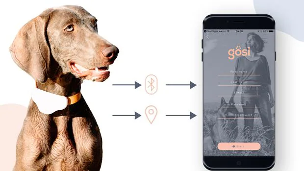 Imagen del nuevo GPS para mascotas diseñado y producido por la startup valenciana