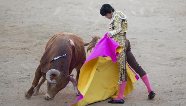 «Jabatillo» fue lidiado por Castella el 27 de mayo de 2015, el torero cortó las dos orejas y el toro fue premiado con la vuelta al ruedo y como el mejor de San Isidro