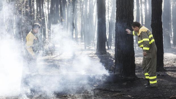 Tras el susto, Navalilla intenta recobrar la calma
