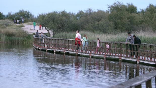 Visitantes pasean por la pasarela de las Tablas de Daimiel