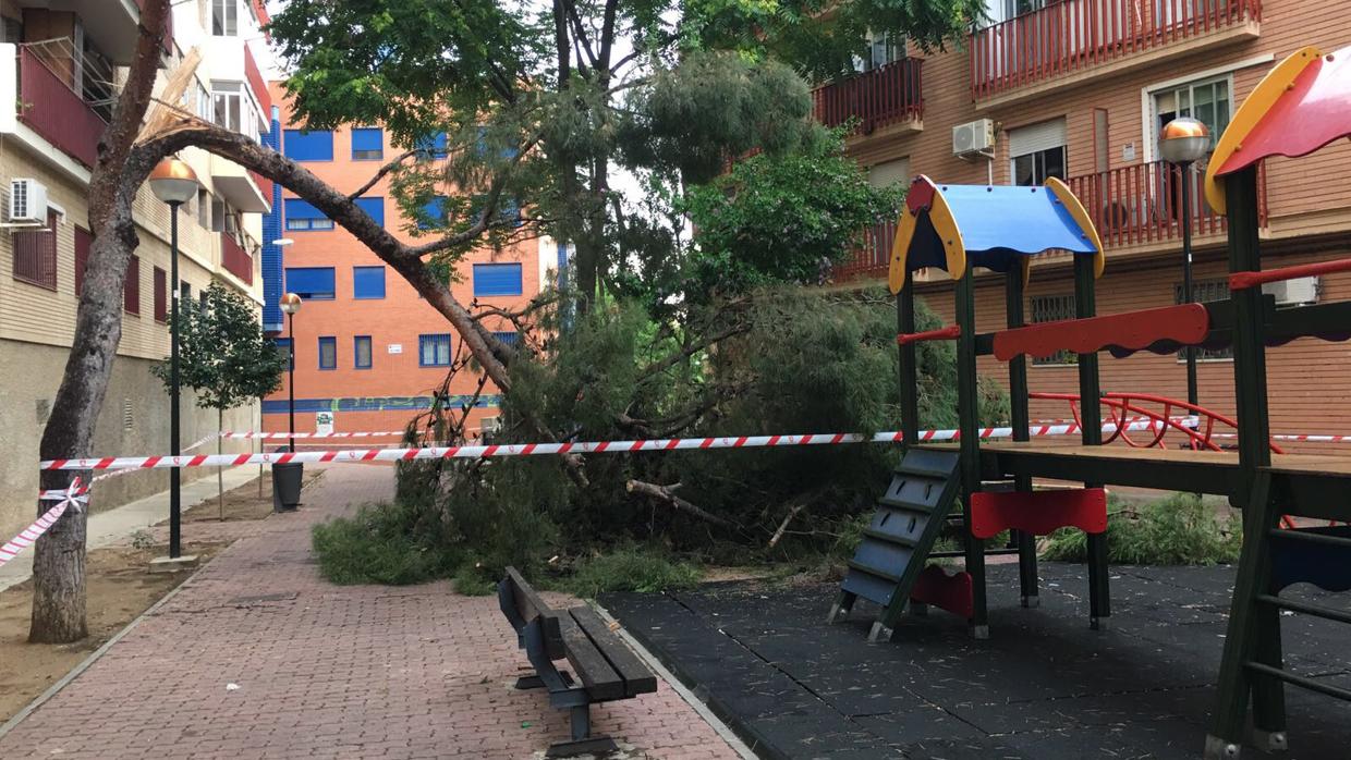 Cae un árbol sobre un parque infantil en Zaragoza