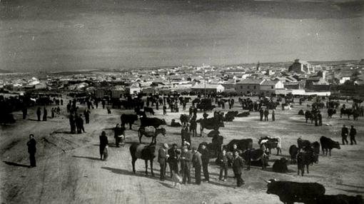 Semanas antes de ser asesinados, los ancianos vendieron todo su ganado (Foto, Archivo Diputación de Toledo)