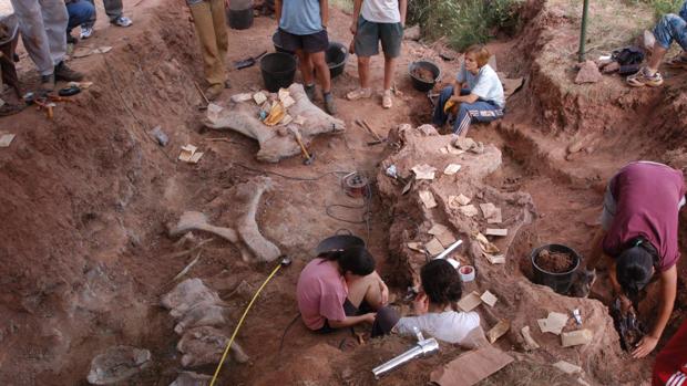 Excavación en el Oterillo, donde ha tenido lugar el hallazgo