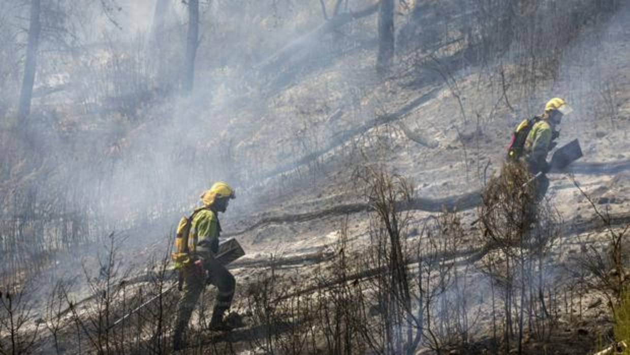 Efectivos trabajan en la extinción del incendio