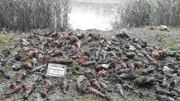 Hallan más de 500 granadas de mortero en un acuífero de Teruel