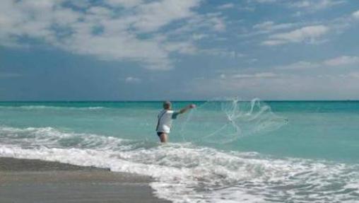 Imagen de la playa de Almardá