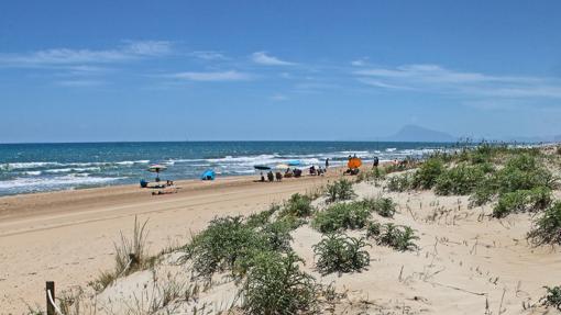 Imagen de la playa de Daimús