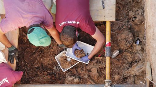 Vista de los trabajos en el cementerio de Paterna, donde se encuentran restos de personas fusiladas en el franquismo