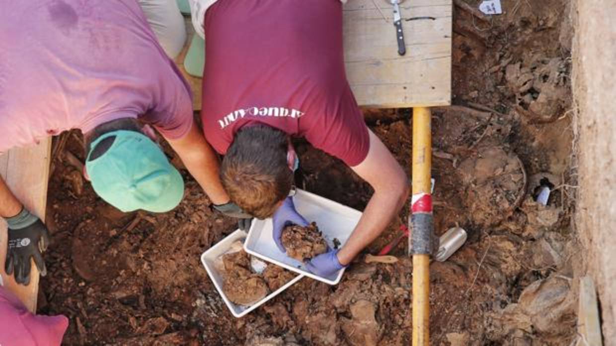 Imagen de los arqueólogos en los trabajos de exhumación en el cementerio de Paterna
