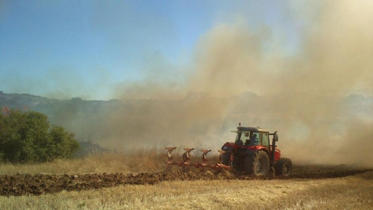 Zona en la que se produjo el incendio forestal