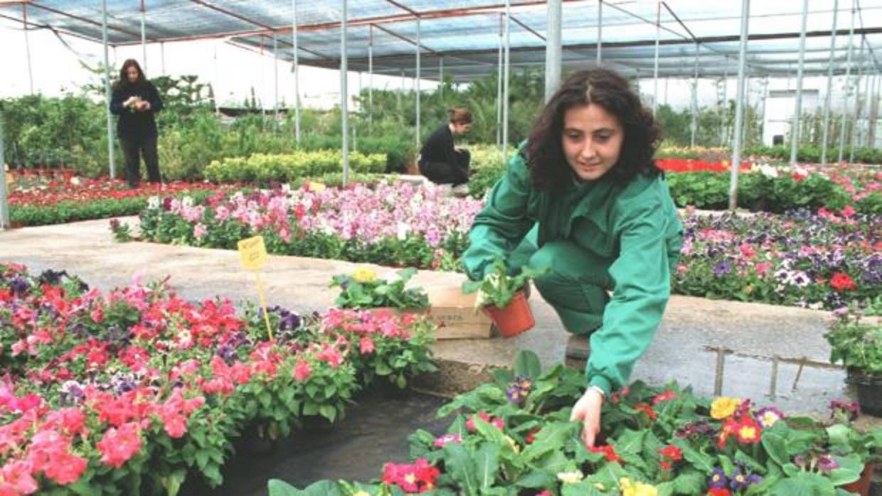 Jóvenes trabajando en un vivero