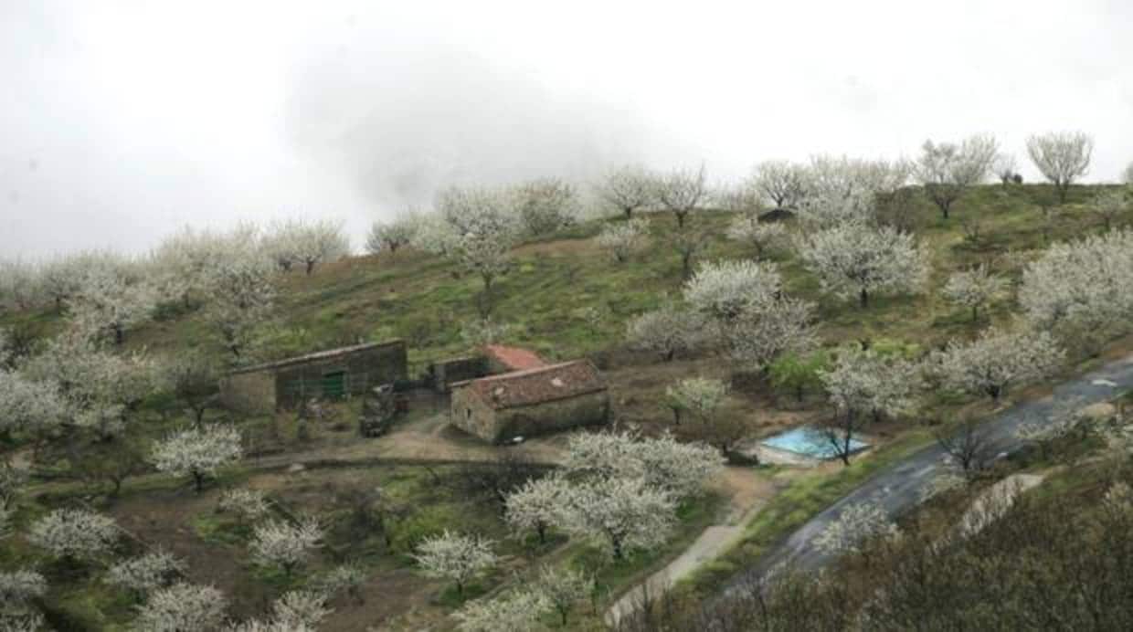 Fotografía de archivo del Valle del Jerte, en Cáceres