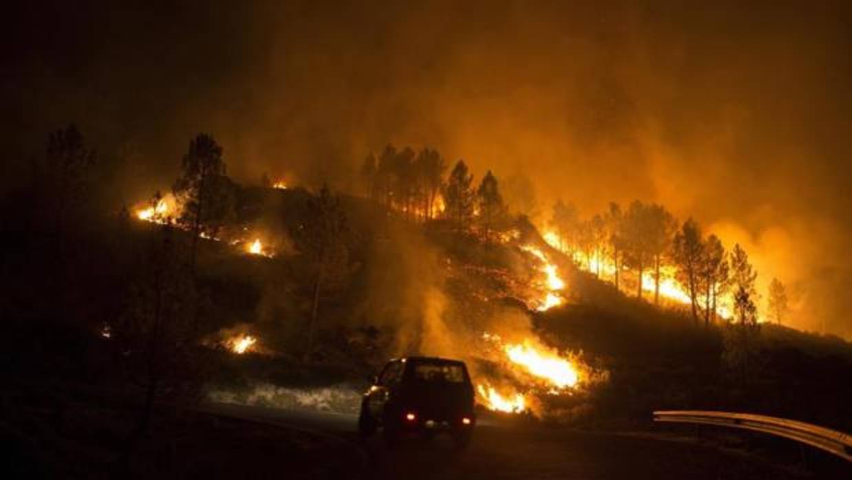 Incendio en Entrimo (Orense) el pasado septiembre