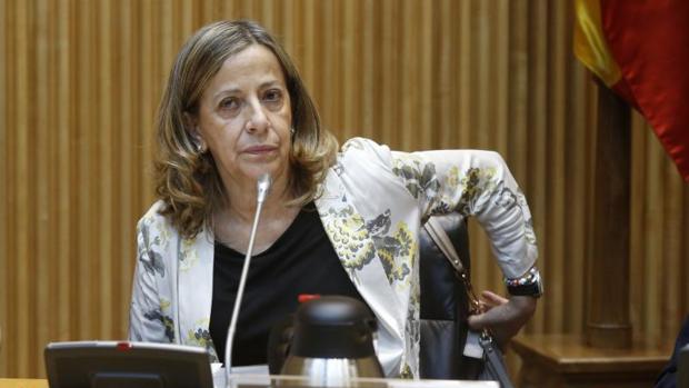 La tesorera y gerente del PP, Carmen Navarro, este viernes durante su comparecencia en el Congreso