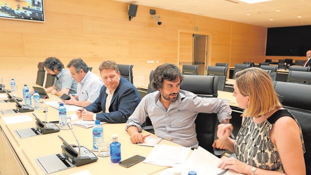 Los miembros de la comisión este jueves en las Cortes de Castilla y León