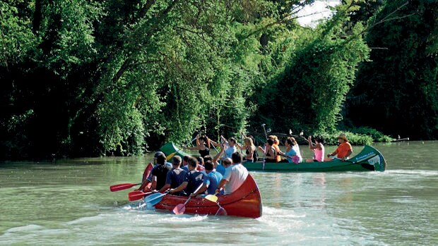 Dos canoas cargadas de personas compiten en una travesía por el agua