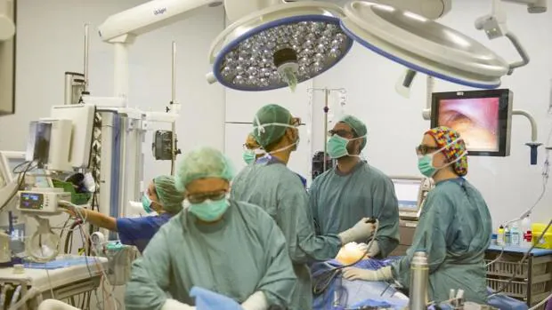 Varios facultativos en un quirófano durante una operación