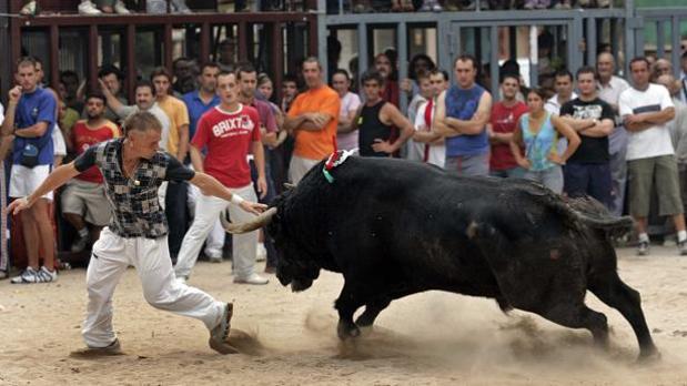 Alicante prohíbe un festejo taurino legal en el campo por celebrarse en «suelo protegido»