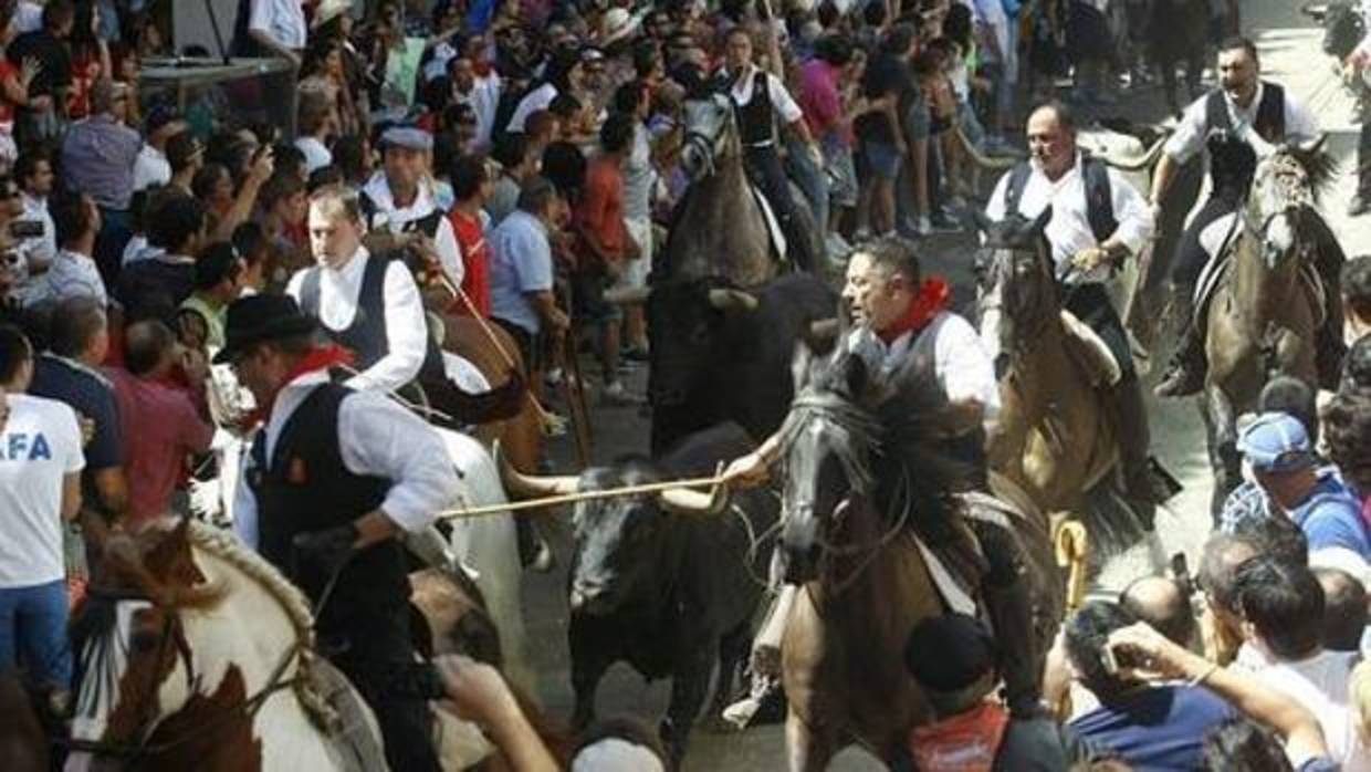 Imagen de la entrada de toros y caballos de Segorbe