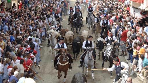 Imagen de la entrada de toros y caballos de Segorbe