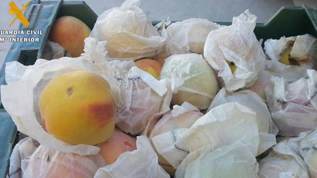 Interceptados dos ladrones de fruta con 434 kilos de melocotones robados