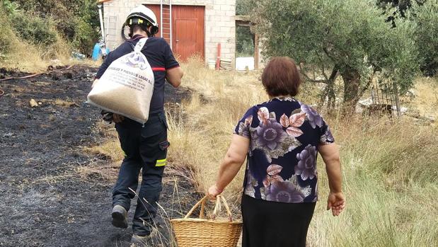 Alivio en Yeste, las casas siguen en pie y los animales vivos