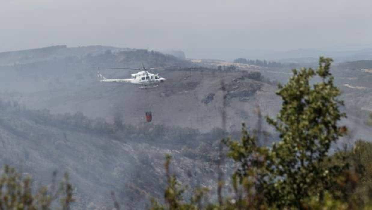 Los servicios de extinción, trabajando en las primeras horas tras declararse el incendio en Pino del Oro