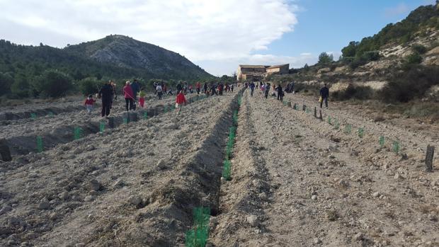 Aguas de Alicante desarrolla proyectos ambientales por valor de trece millones de euros