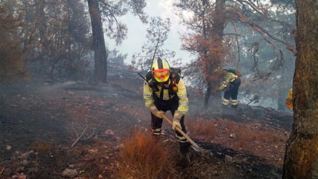 El PP pide que la Junta informe a las Cortes sobre el incendio de Yeste