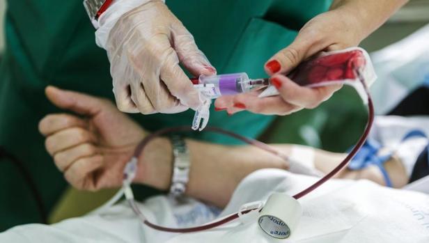 Un donante de sangre en el momento de la extracción en el Hospital Ramón y Cajal de Madrid